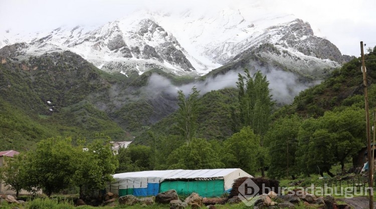 Şırnak dağları beyaza büründü
