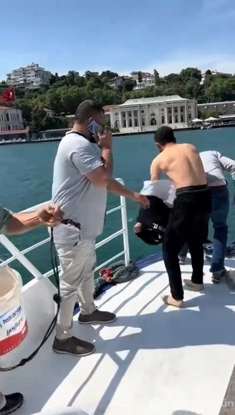 İstanbul Boğazı'nda papağan kurtarma operasyonu
