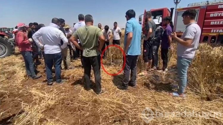 Mardin'de traktör ve trafoları ateşe verdiler
