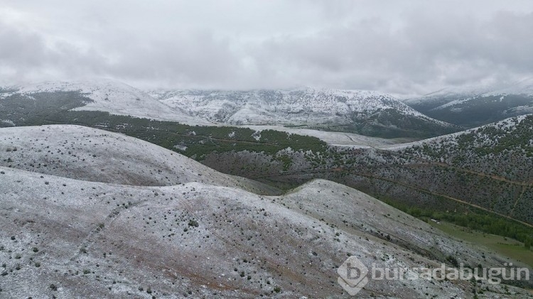 İlkbaharda kış geri döndü