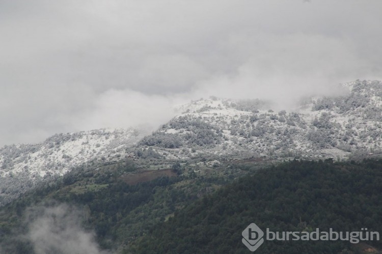 İlkbaharda kış geri döndü