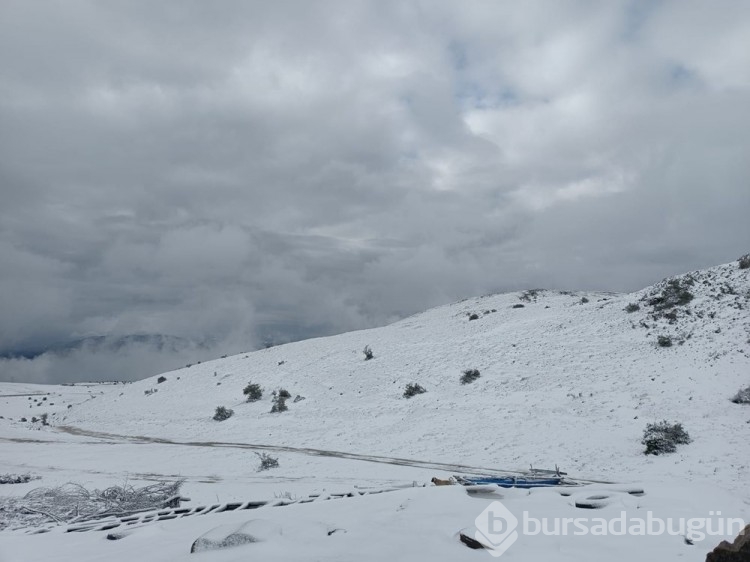 İlkbaharda kış geri döndü