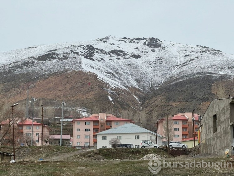 İlkbaharda kış geri döndü