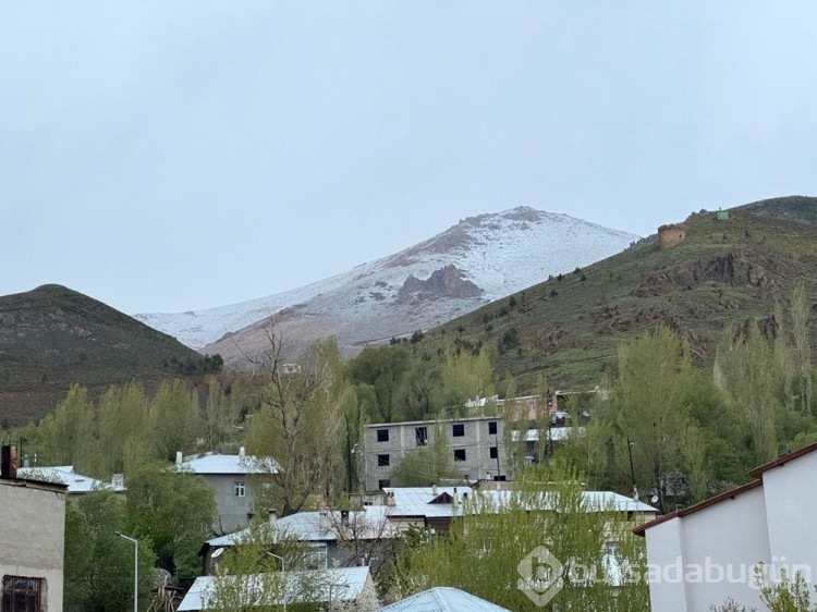 İlkbaharda kış geri döndü