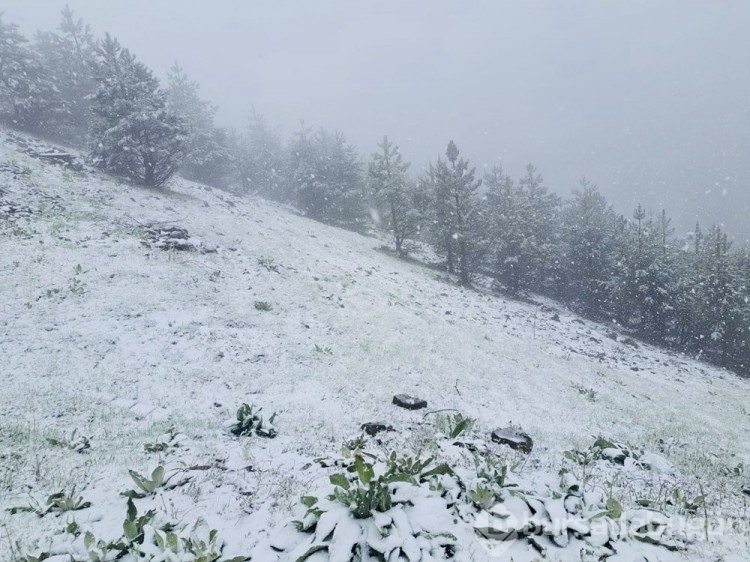 İlkbaharda kış geri döndü