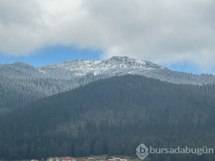 İlkbaharda kış geri döndü