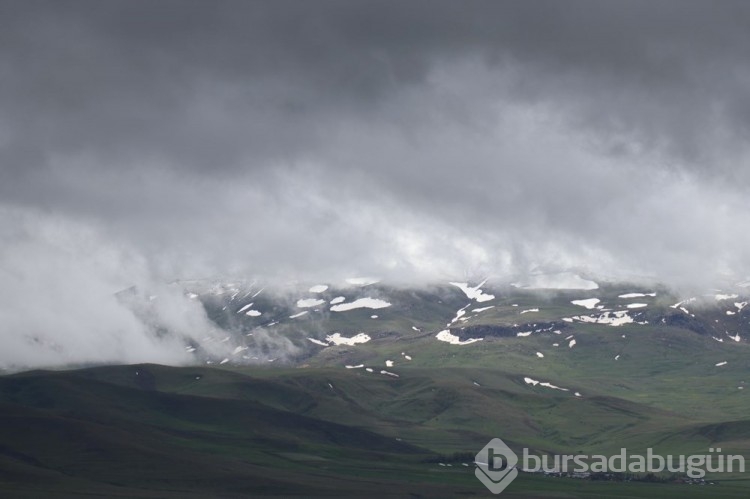 İlkbaharda kış geri döndü