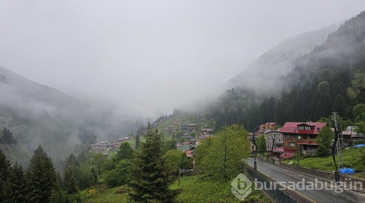 Rize'nin yüksek kesimleri karla kaplandı
