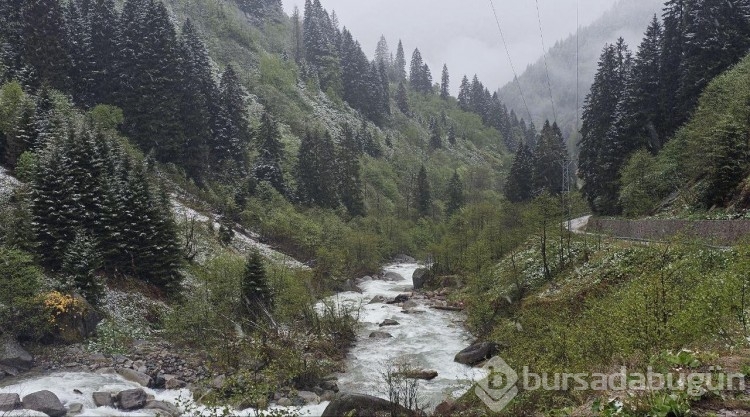 Rize'nin yüksek kesimleri karla kaplandı
