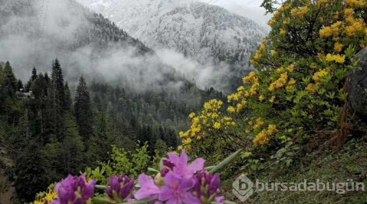 Rize'nin yüksek kesimleri karla kaplandı
