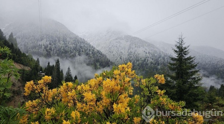 Rize'nin yüksek kesimleri karla kaplandı
