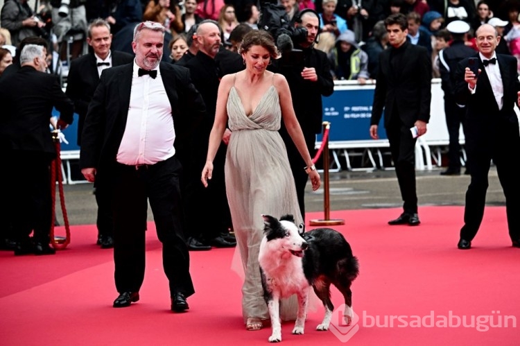 Cannes Film Festivali başladı
