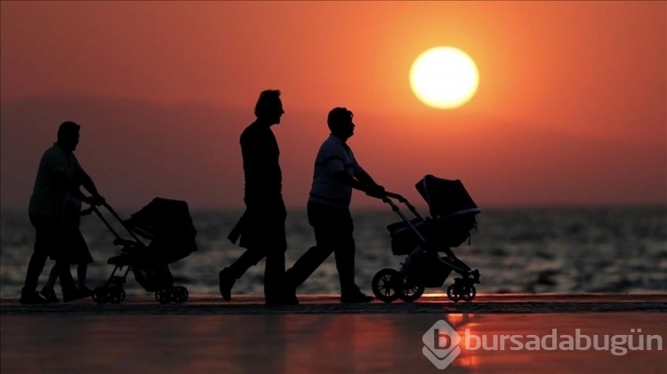 Aileler dört kişiden üçe düştü! Türkiye'nin aile istatistikleri açıklandı
