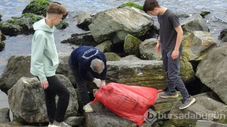 İstanbul'da sahilde ölü caretta caretta bulundu
