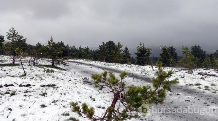 Kars'ta kar yağışı etkili oldu
