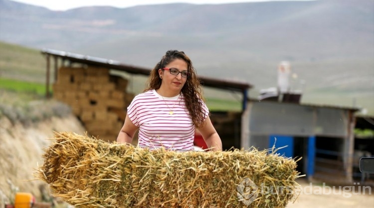 Gıda teknikeri kadın devlet desteğiyle besicilik yapmaya başladı
