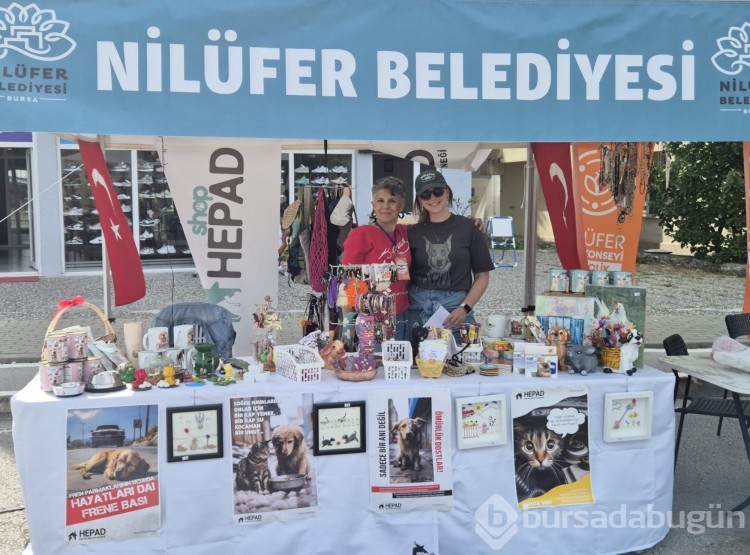 Bursa'da Görükle Gençlik Festivali başladı 