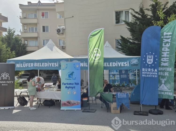 Bursa'da Görükle Gençlik Festivali başladı 