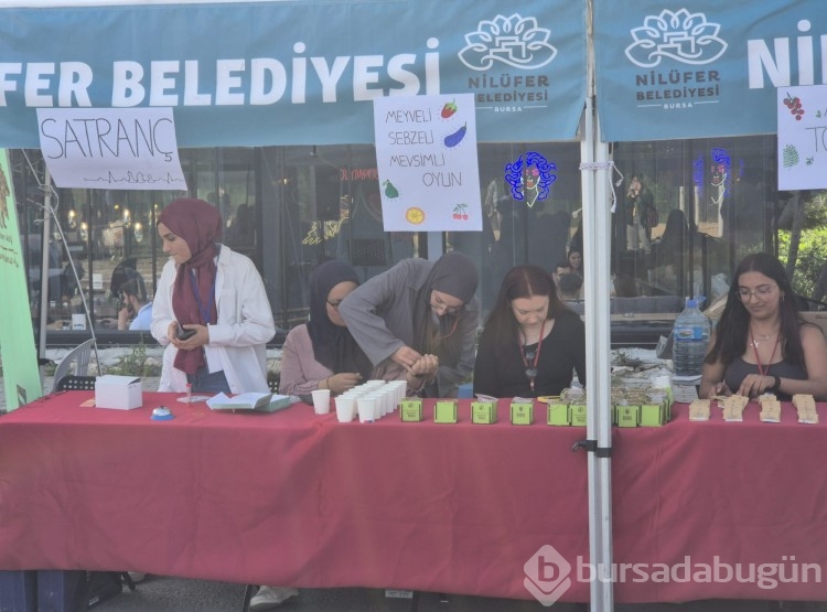 Bursa'da Görükle Gençlik Festivali başladı 