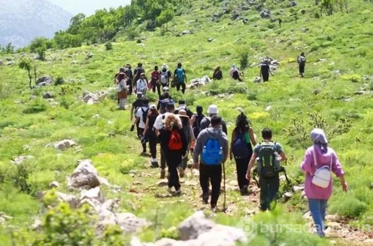 Sadece 20 günlük ömrü var: Görmek için Mardin'den gelip 7 kilometre yol yürüdüler
