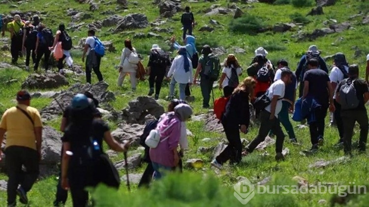 Sadece 20 günlük ömrü var: Görmek için Mardin'den gelip 7 kilometre yol yürüdüler
