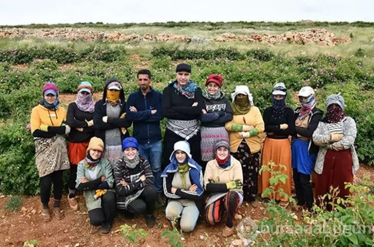 Memleketinde fabrika kuran Berdan Mardini gül topladı!