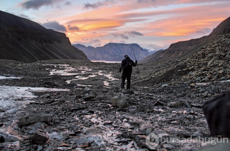 Svalbard Adası'ndaki bazı ilginç yasaklar