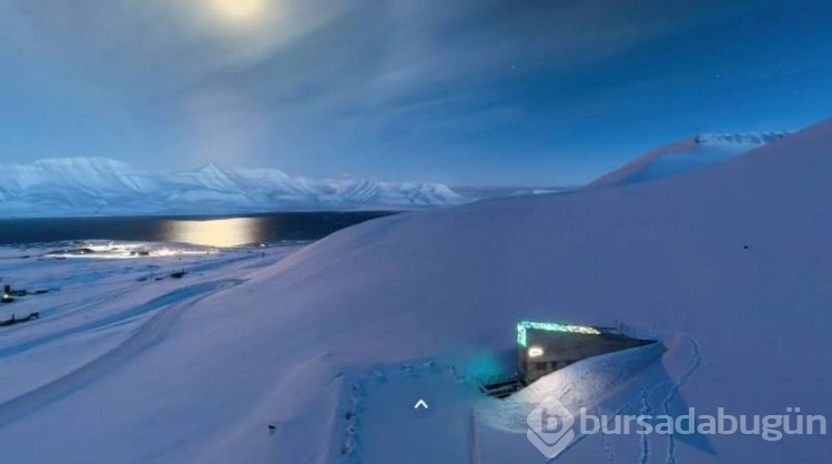 Svalbard Adası'ndaki bazı ilginç yasaklar