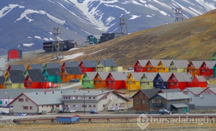 Svalbard Adası'ndaki bazı ilginç yasaklar