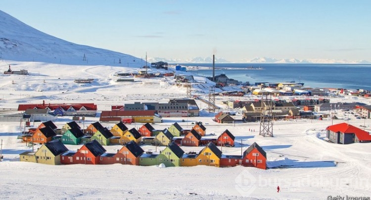 Svalbard Adası'ndaki bazı ilginç yasaklar