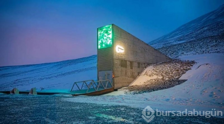 Svalbard Adası'ndaki bazı ilginç yasaklar