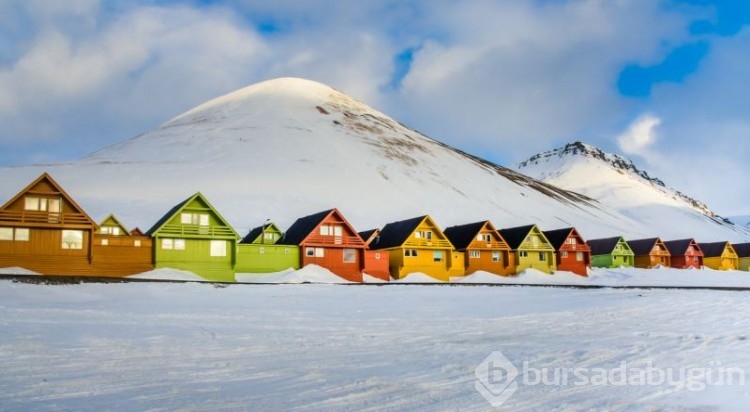 Svalbard Adası'ndaki bazı ilginç yasaklar