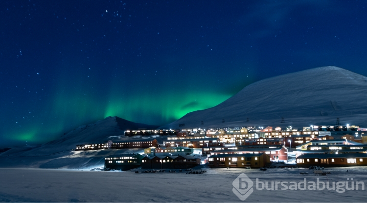 Svalbard Adası'ndaki bazı ilginç yasaklar