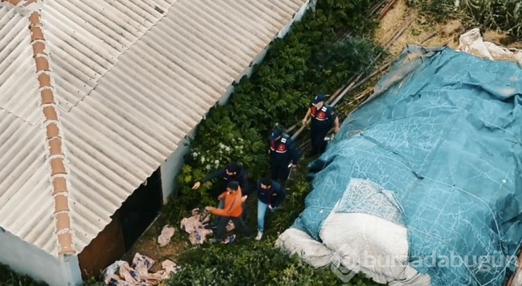 Kurban Bayramı öncesi hırsızlıklar harekete geçti: 11 küçükbaş çalındı
