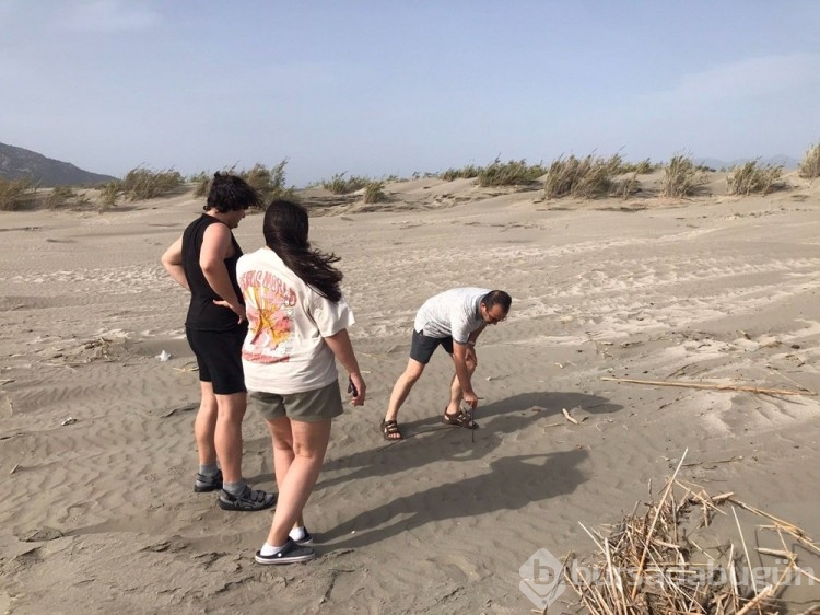 Patara'da caretta caretta yuva sayısında rekor artış
