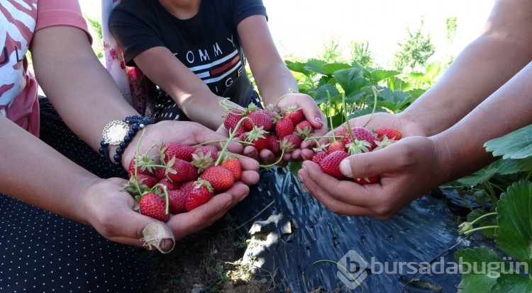 Devlet desteği ile başladı, şimdi siparişlere yetişemiyor