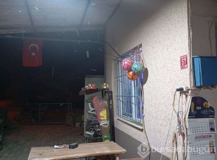 Milyonlarcası ilçeyi istila etti: Ne kapı ne de cam açılabiliyor!
