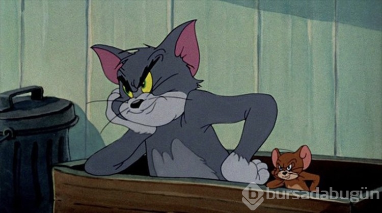 Tom ve Jerry'deki gizemli kadın kim? 
