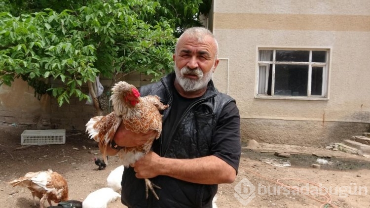 Uzun yıllar yaşadığı İstanbul'u terk edip memleketine döndü: Huzuru hayvanlarda buldu