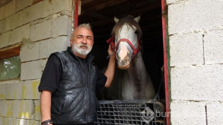 Uzun yıllar yaşadığı İstanbul'u terk edip memleketine döndü: Huzuru hayvanlarda buldu