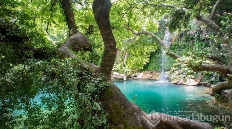 Kurşunlu Şelalesi'nin suyunda azalma
