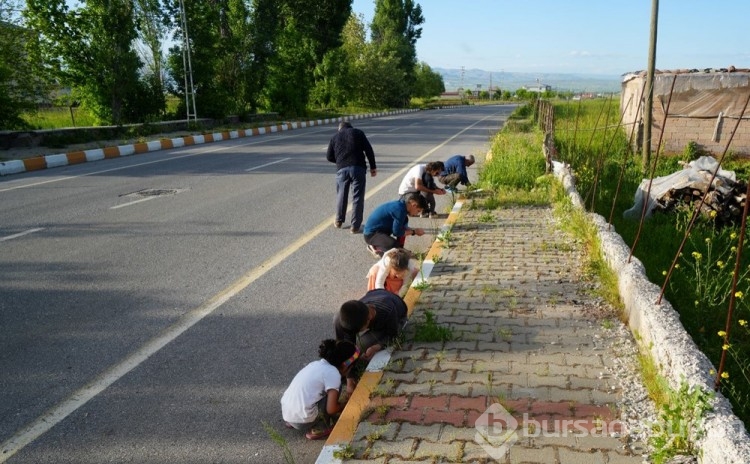 Dolu ile birlikte yağdı! Erimeyen cismin gizemi çözüldü
