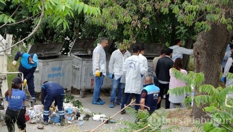 Pendik'teki vahşi cinayette tutuklama