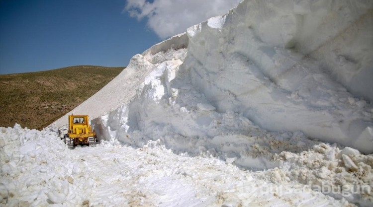 Van'da kar nedeniyle kapalı olan yayla yolları açıldı
