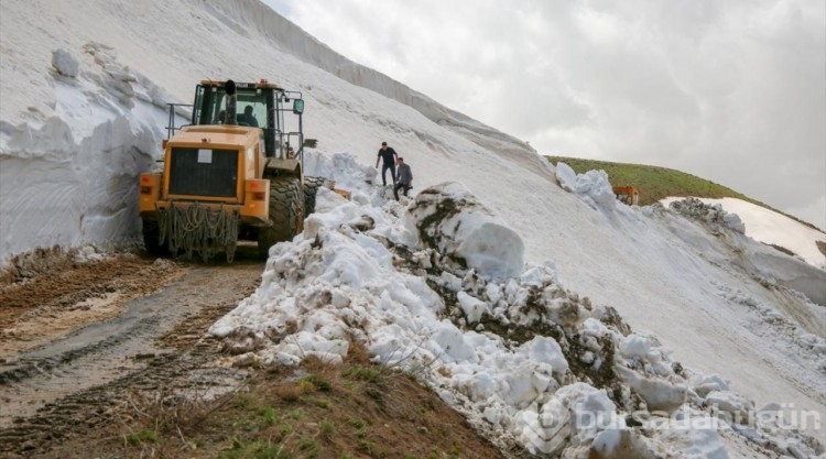 Van'da kar nedeniyle kapalı olan yayla yolları açıldı
