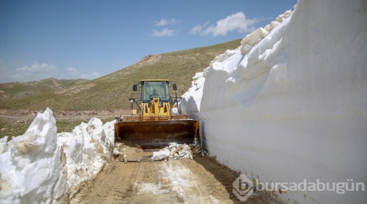 Van'da kar nedeniyle kapalı olan yayla yolları açıldı
