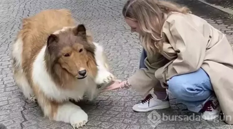 Köpek olan adam, artık başka bir hayvan olmak istediğini açıkladı