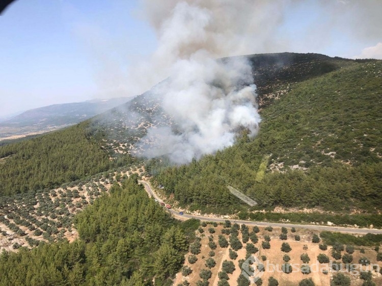 Bursa, Muğla ve Antalya'da orman yangını
