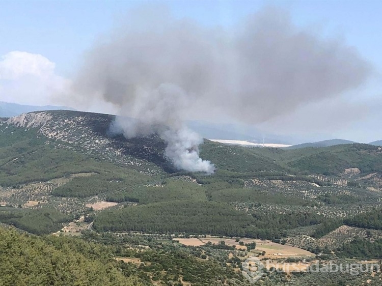 Bursa, Muğla ve Antalya'da orman yangını
