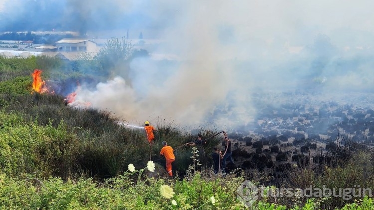 Bursa, Muğla ve Antalya'da orman yangını
